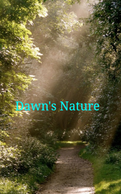 Dawn's Nature