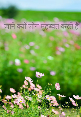 जाने क्यों लोग मुहब्बत करते है