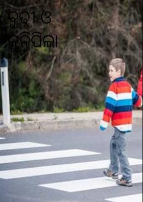 ବୁଢ଼ୀ ଓ କୁନିପିଲା ସାନୁ