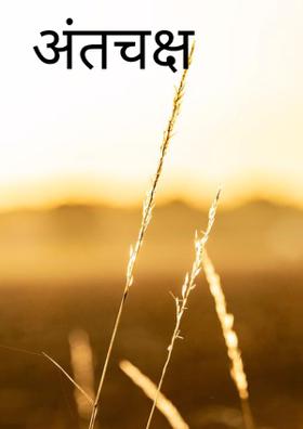 अंतचक्ष