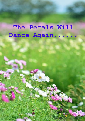The Petals Will Dance Again......