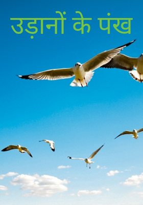 उड़ानों के पंख