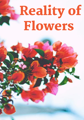 Reality Of Flowers