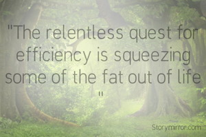 "The relentless quest for efficiency is squeezing some of the fat out of life " 