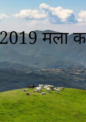 2019 मला कसे गेले