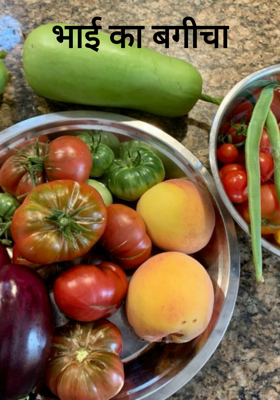 भाई का बगीचा