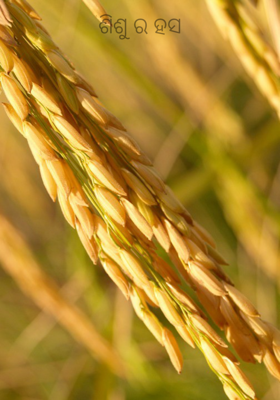 ଶିଶୁର ହସ