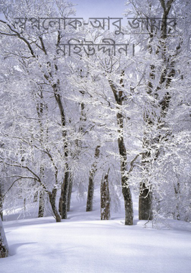 স্বপ্নলোক-আবু জাফর মহিউদ্দীন।