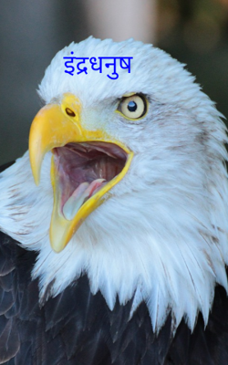 इंद्रधनुष