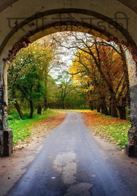 पत्नी की घुड़की