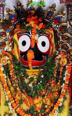 ନନ୍ଦି ଘୋଷ