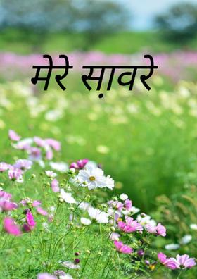 मेरे सा़वरे