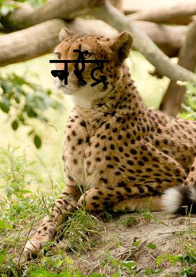 नरेंद्र