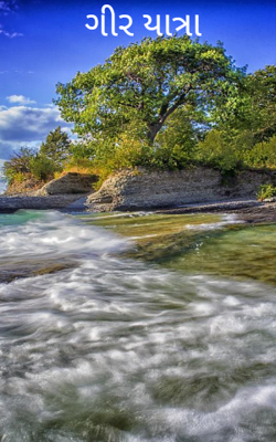 ગીર યાત્રા