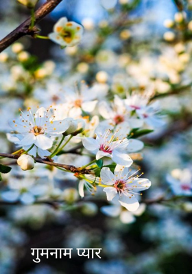 गुमनाम प्यार