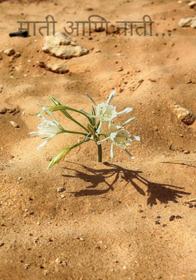माती आणि नाती... 