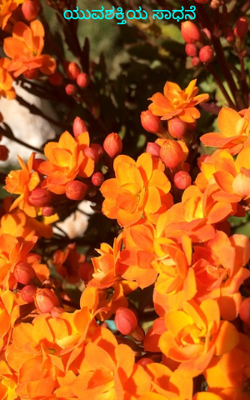 ಯುವಶಕ್ತಿಯ ಸಾಧನೆ