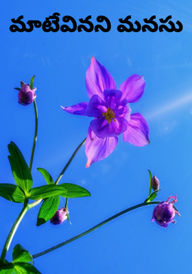 మాటేవినని మనసు