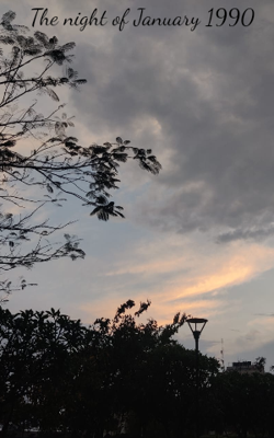 The night of January 1990