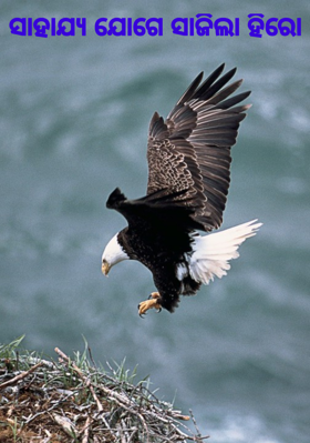 ସାହାଯ୍ୟ ଯୋଗେ ସାଜିଲା ହିରୋ