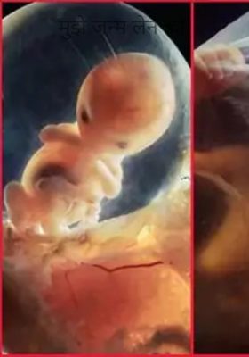 मुझे जन्म लेने  दो