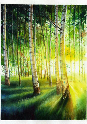 ସମୟର ସତ୍ୟପାଠ, ଚକାଡୋଳା ବସ