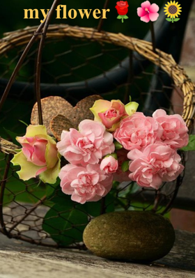 My Flower
