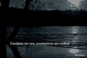 Emotions are raw, assumptions are cooked