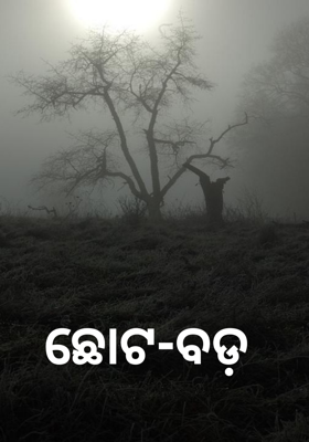 ଛୋଟ-ବଡ଼