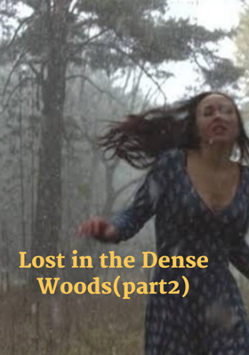 Lost In The Dense Woods (Part2)