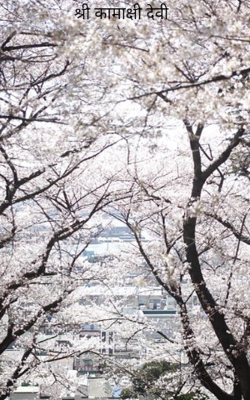 श्री कामाक्षी देवी