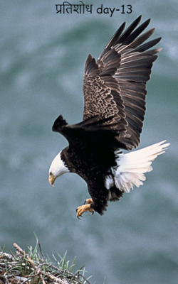 प्रतिशोध day-13