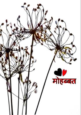 मोहब्बत