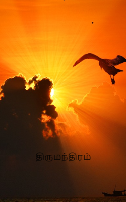 திருமந்திரம்