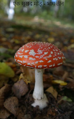 एक सुखद मोड़ - भाग तीन