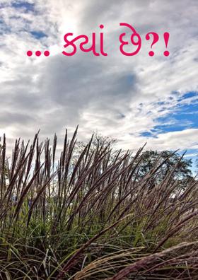 ... ક્યાં છે?!