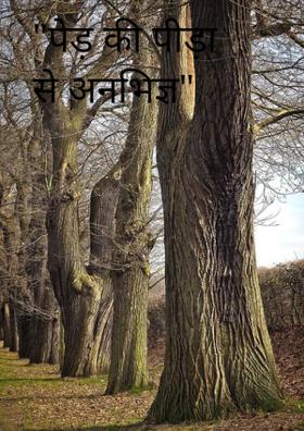 "पेड़ की पीड़ा से अनभिज्ञ"