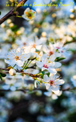 Is it Real or a fantasy of my Brain?!