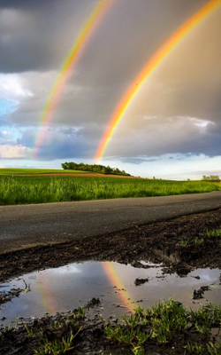 The beauty of nature