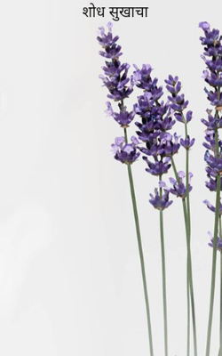 शोध सुखाचा