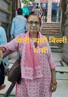 प्यारी-न्यारी बिल्ली मौसी