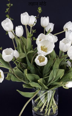 लहान मोठे