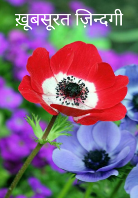 ख़ूबसूरत ज़िन्दगी