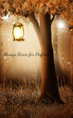 Always Strive for Perfection