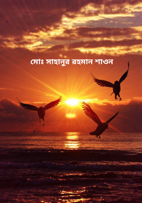 মোঃ সাহানুর রহমান শাওন