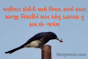 ઘણીવાર કોઈની સાથે વિવાદ કરવો કરતાં સમજી વિચારીને શાંત રહેવું ડહાપણ નું કામ છે- જયેશ