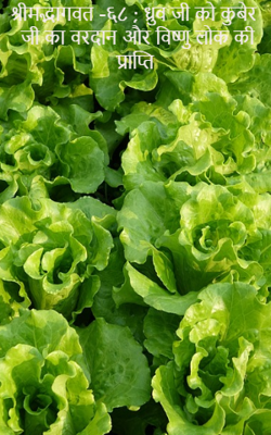 श्रीमद्भागवत -६८ ; ध्रुव जी को कुबेर जी का वरदान और विष्णु लोक की प्राप्ति