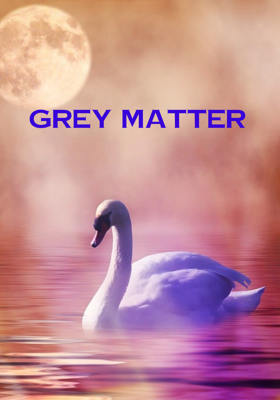 Grey Matter