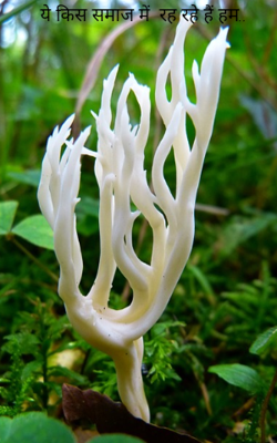 ये किस समाज में  रह रहे हैं हम..