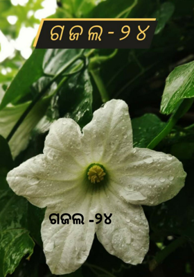 ଗଜଲ -୨୪